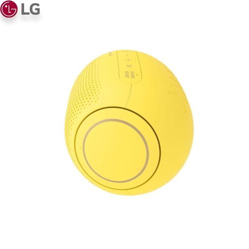Loa LG PL2 31